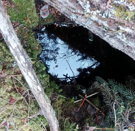 Water Mirror © Foto PLE